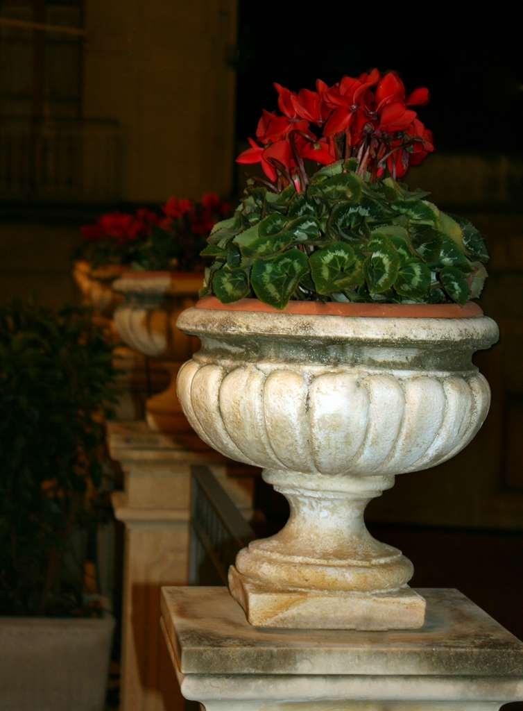 Hotel Villa Cibele Catania Servis gambar